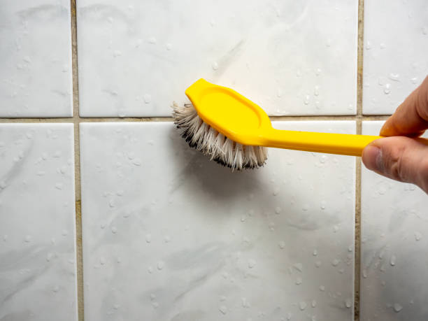 Best Mold Remediation  in Benicia, CA