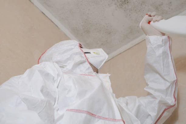 Best Mold Remediation  in Benicia, CA